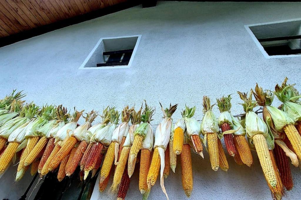 Lo Solan Appartement Valpelline Buitenkant foto